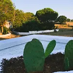 Trullo Assiolo Valle D'itria Privacy&peace Aperto Tutto L'anno Martina Franca
