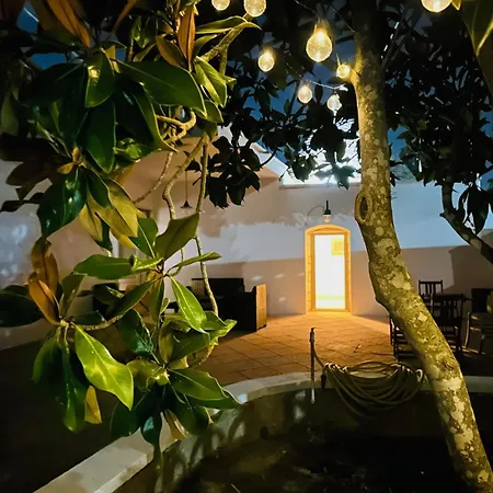 Holiday home Trullo Assiolo Valle D'itria Privacy&peace Aperto Tutto L'anno Martina Franca