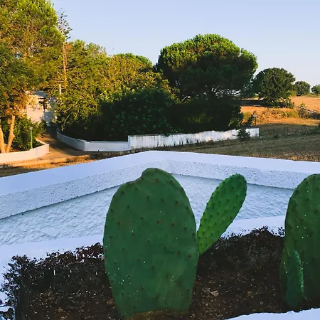 Trullo Assiolo Valle D'itria Privacy&peace Aperto Tutto L'anno مارتينا فرانكا